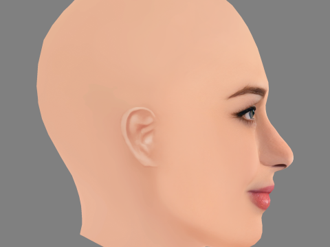 Lisa Vicari Head - No Hair - Low poly head for game 3D Модель