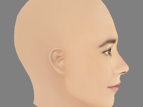 Madalena Aragao Head - No Hair - Low poly head for game Model 3D
