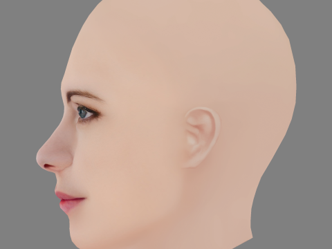 Malin Crepin Head - No Hair - Low poly head for game 3D 모델