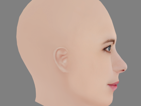 Malin Crepin Head - No Hair - Low poly head for game 3D 모델