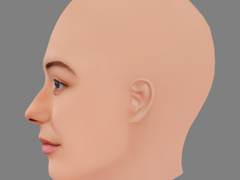 Testa di Maria Ehrich - Senza capelli - Testa in poliestere bassa per il gioco Modello 3D