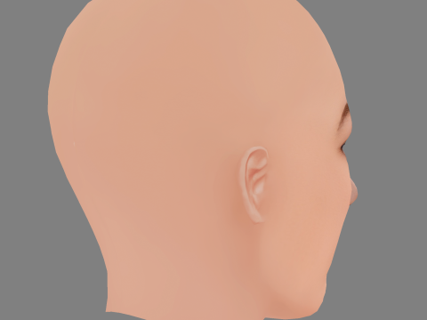 Testa di Maria Ehrich - Senza capelli - Testa in poliestere bassa per il gioco Modello 3D