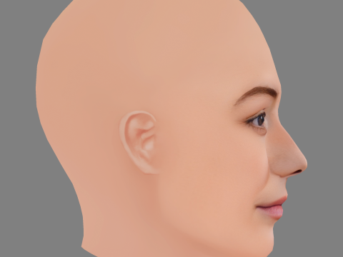 Testa di Maria Ehrich - Senza capelli - Testa in poliestere bassa per il gioco Modello 3D