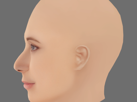 Maria Joao Bastos Head - No Hair - Low poly head for game 3D Modell