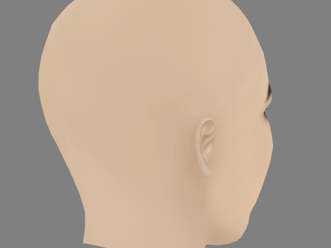 Marie Bach Hansen Head - No Hair - Low poly head for game 3D 模型