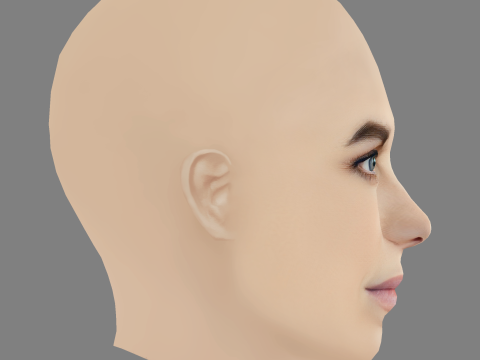 Marie Bach Hansen Head - No Hair - Low poly head for game 3D 模型