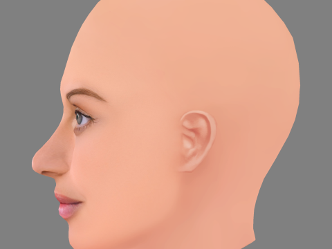 Matilde Reymao Head - No Hair - Low poly head for game Modello 3D