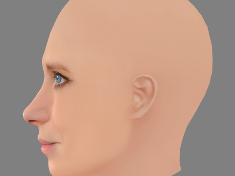 Moa Gammel Head - No Hair - Low poly head for game Model 3D