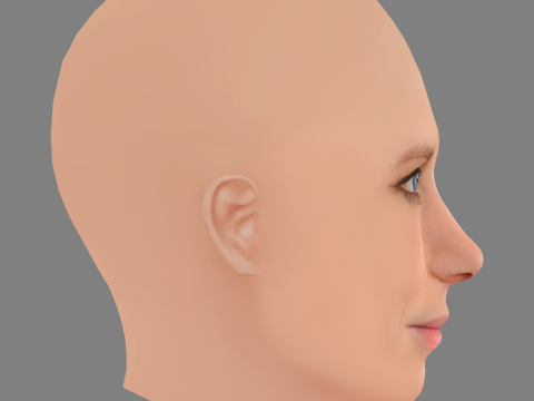 Moa Gammel Head - No Hair - Low poly head for game Model 3D