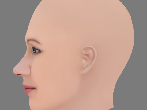 Sanna Sundqvist Head - No Hair - Low poly head for game Model 3D