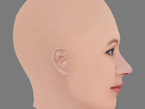 Sanna Sundqvist Head - No Hair - Low poly head for game Model 3D