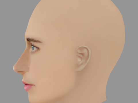 Svenja Jung Head - No Hair - Low poly head for game 3D Model
