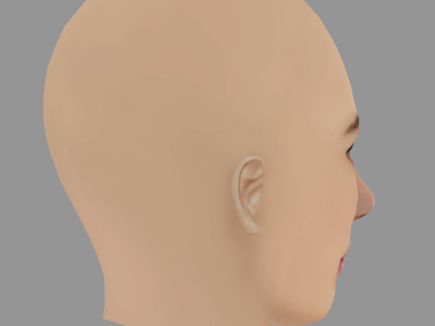 Svenja Jung Head - No Hair - Low poly head for game 3D Model