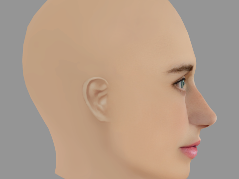 Svenja Jung Head - No Hair - Low poly head for game 3D Model
