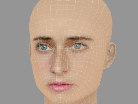 Svenja Jung Head - No Hair - Low poly head for game 3D Model
