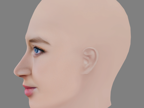 Anna Maria Muhe Head - No Hair - Low poly head for game 3D 模型