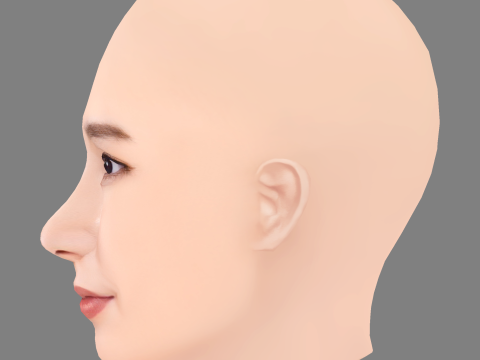 Tao Tsuchiya Head - No Hair - Low poly head for game Model 3D
