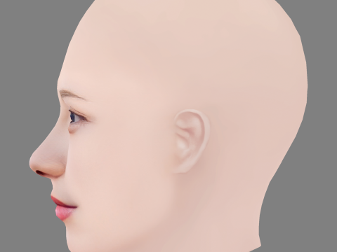 Kawaei Rina Head - No Hair - Low poly head for game 3D 모델