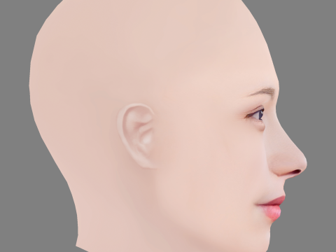 Kawaei Rina Head - No Hair - Low poly head for game 3D 모델
