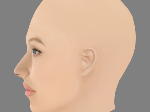 Toni Garrn Head - No Hair - Low poly head for game 3D Model