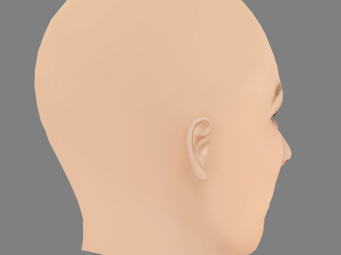 Toni Garrn Head - No Hair - Low poly head for game 3D Model