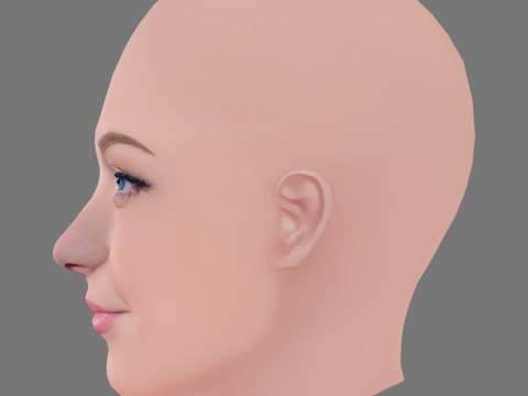 애비 엘리엇 헤드 - 머리카락 없음 - 게임용 로우 폴리 헤드 3D 모델