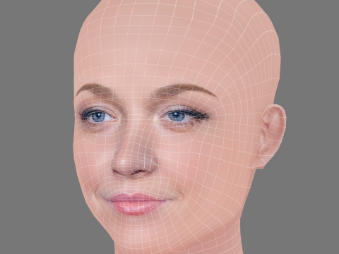 애비 엘리엇 헤드 - 머리카락 없음 - 게임용 로우 폴리 헤드 3D 모델