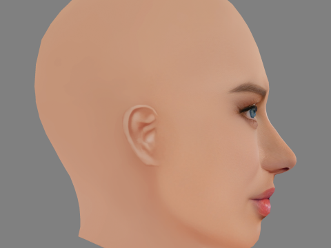 Adriana Lima Head - No Hair - Low poly head for game 3D Model