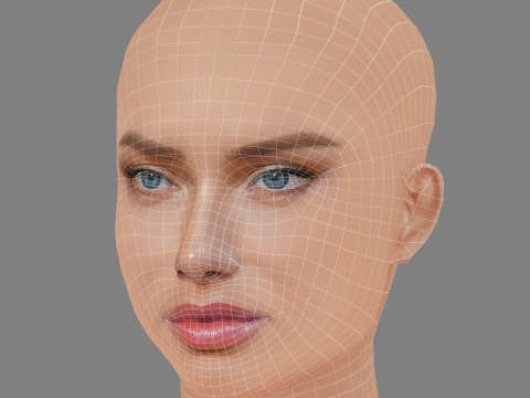 Adriana Lima Head - No Hair - Low poly head for game 3D Model