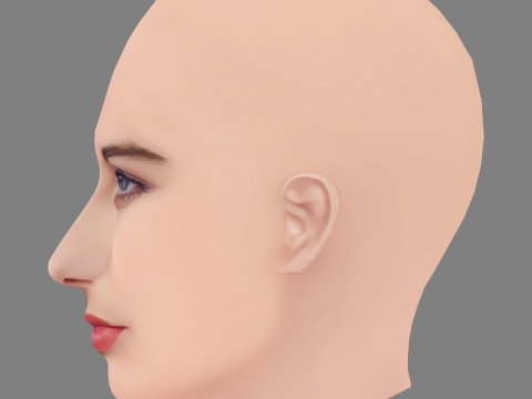 Agnieszka Kotlarska Head - No Hair - Low poly head for game 3D Model