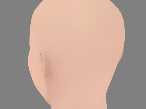 Agnieszka Kotlarska Head - No Hair - Low poly head for game 3D Model