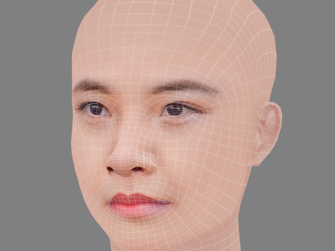 Голова Еймі Кван - без волосся - низькополігональна голова для гри 3D Модель