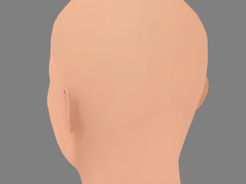 Aishwarya Rai Head - No Hair - Low poly head for game 3D Model