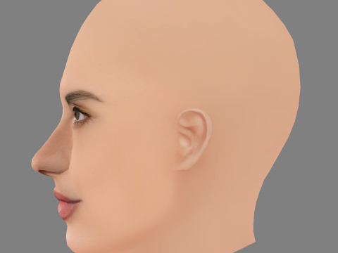 Testa di Alessandra Ambrosio - Senza capelli - Testa in polietilene bassa per gioco Modello 3D