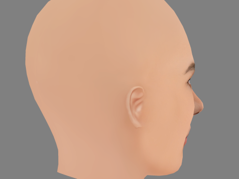 Testa di Alessandra Ambrosio - Senza capelli - Testa in polietilene bassa per gioco Modello 3D