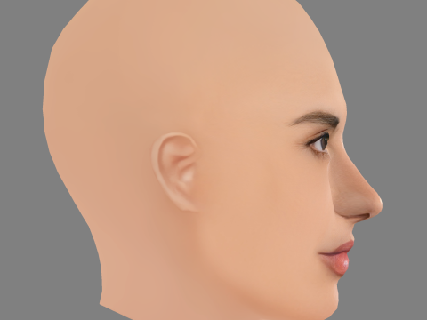 Testa di Alessandra Ambrosio - Senza capelli - Testa in polietilene bassa per gioco Modello 3D