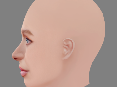 Голова Алекса Купера - без волосся - низькополігональна голова для гри 3D Модель