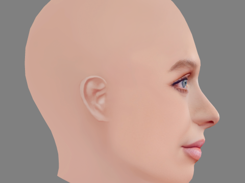 Голова Алекса Купера - без волосся - низькополігональна голова для гри 3D Модель