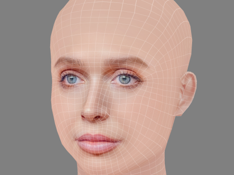 Голова Алекса Купера - без волосся - низькополігональна голова для гри 3D Модель