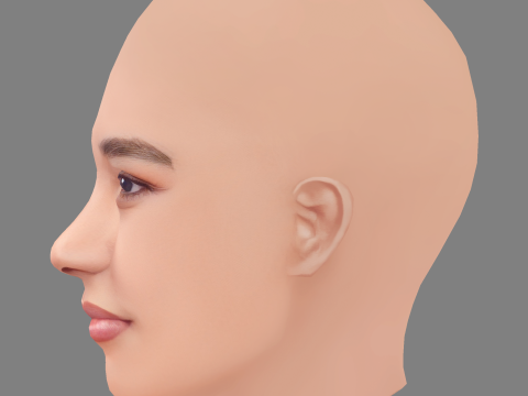 Alexandra Shipp Head - No Hair - Low poly head for game 3D Model
