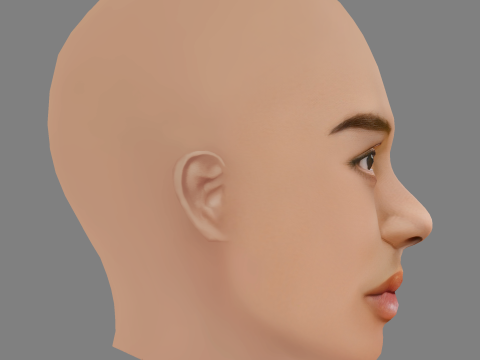 Ama Lou Head - No Hair - 게임용 로우 폴리 헤드 3D 모델