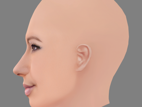 Голова янтарной розы - без волос - низкополигональная голова для игры 3D Модель