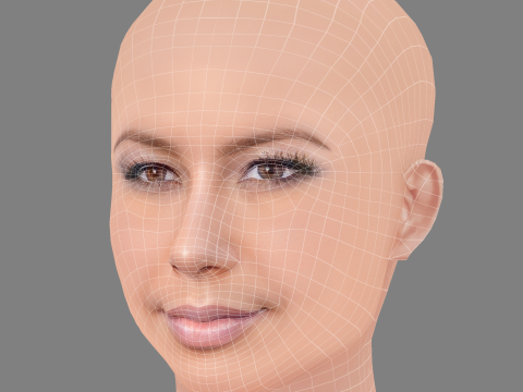 Голова янтарной розы - без волос - низкополигональная голова для игры 3D Модель