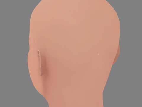 Cabeça de Amy Poehler - Sem cabelo - Cabeça baixa poli para jogo Modelo 3D