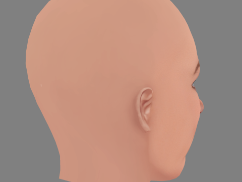 Cabeça de Amy Poehler - Sem cabelo - Cabeça baixa poli para jogo Modelo 3D