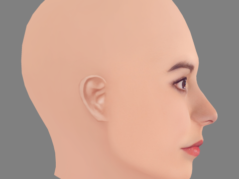 Cabeza de Anna Paquin - Sin pelo - Cabeza de baja poli para juego Modelo 3D
