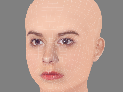 Cabeza de Anna Paquin - Sin pelo - Cabeza de baja poli para juego Modelo 3D