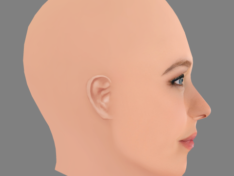 Annabelle Wallis Head - No Hair - Low poly head for game 3D Model
