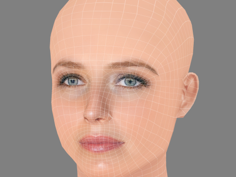 Annabelle Wallis Head - No Hair - Low poly head for game 3D Model