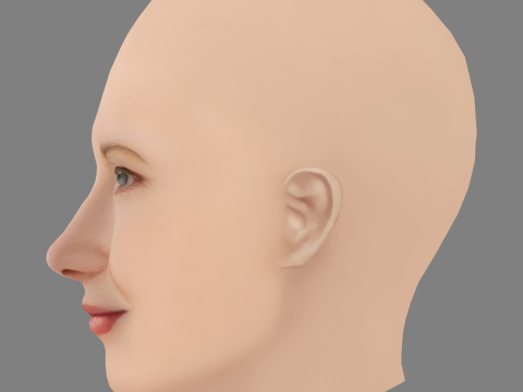 Annette O Toole Head - No Hair - Low poly head for game 3D Model